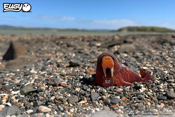 Збірна 3Д модель Зоопарк: Морж