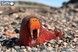 Збірна 3Д модель Зоопарк: Морж