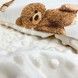Універсальний конверт-плед для новонародженого Oh My Kids &laquo;Ведмедики&raquo; бежевий