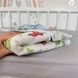 Дитячий конверт-плед на виписку сезон весна-літо-осінь Oh My Kids "Динозаврики" блакитний