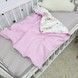 Дитячий плед зі зйомним утеплювачем 100х80 см Oh My Kids &laquo;Рожеві Феї&raquo;