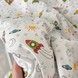 Конверт-ковдра на виписку для хлопчика Oh My Kids &laquo;Ракети&raquo; зелений