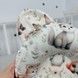 Подушка-позиционер для новорожденных Oh My Kids &laquo;Зайчики Лисички&raquo; молочный